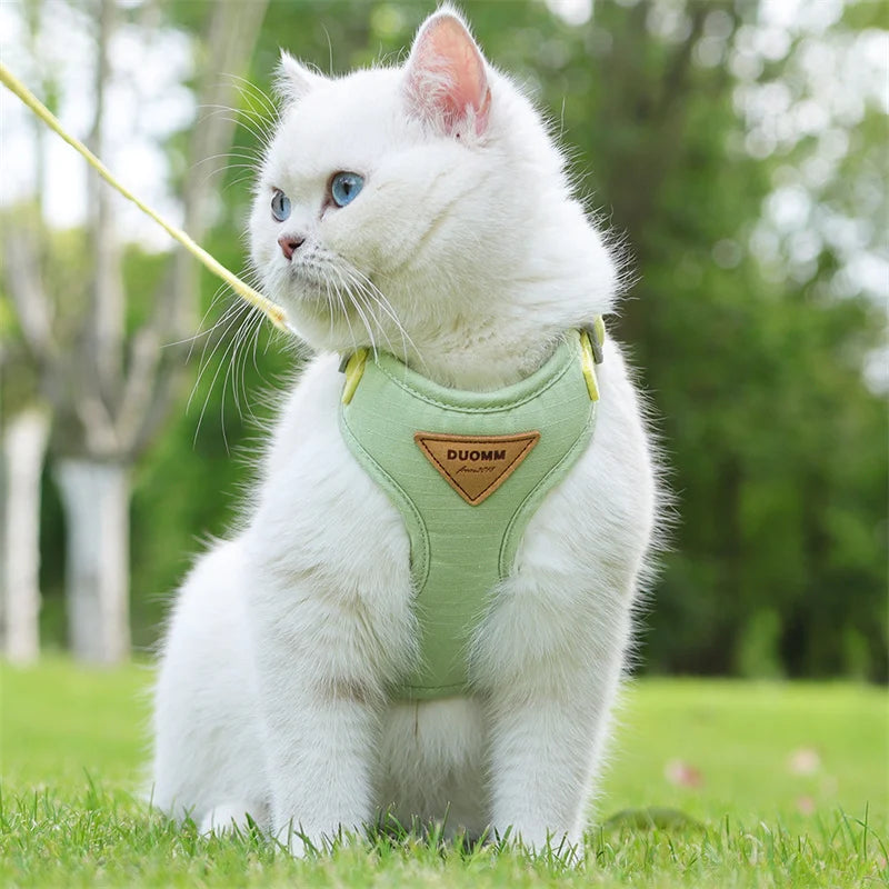 Outdoor-Geschirr für Katzen