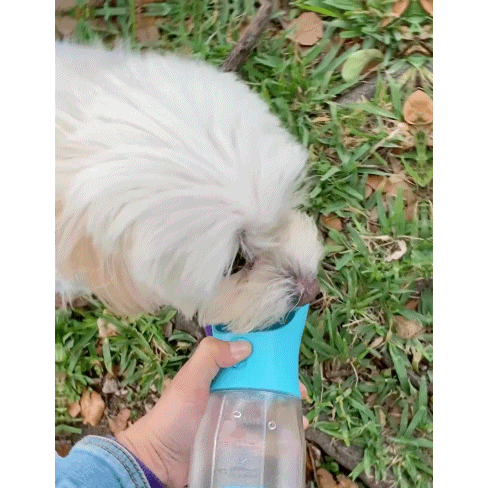 Tragbare Wasserflasche für Hunde – Auslaufsicher & Einhändig bedienbar