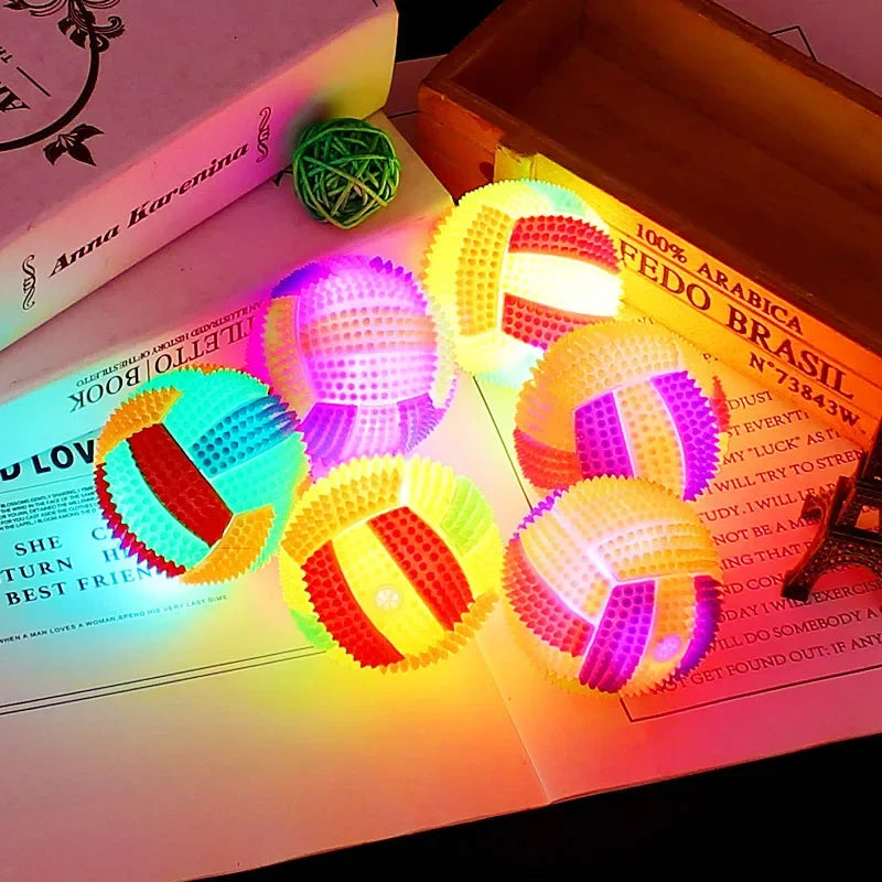 Spielzeugball für deinen Vierbeiner