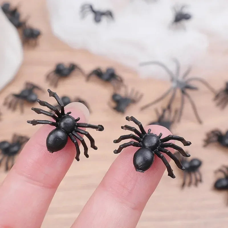 Schwarze Mini Spinnen 🕷️