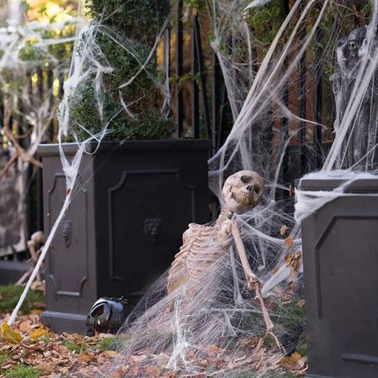 Halloween-Dekoration Spinnennetz