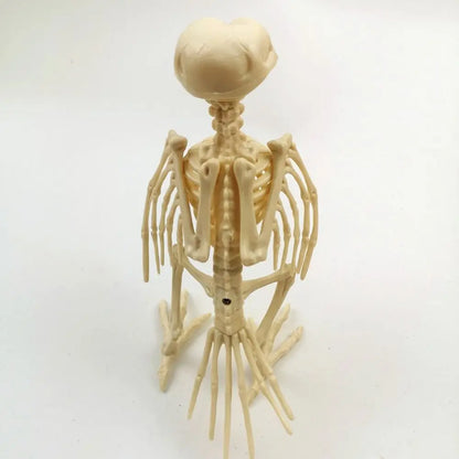 Halloween Skelett Rabe