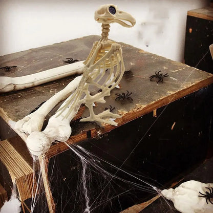 Halloween Skelett Rabe