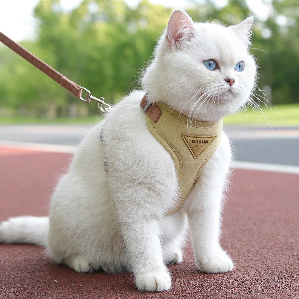 Outdoor-Geschirr für Katzen