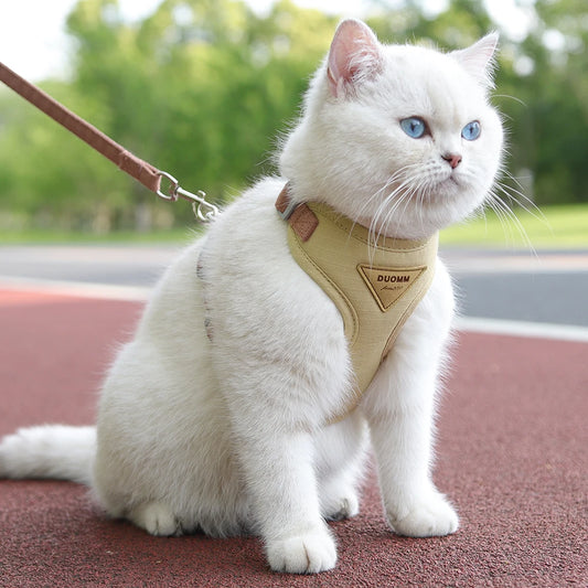 Outdoor-Geschirr für Katzen