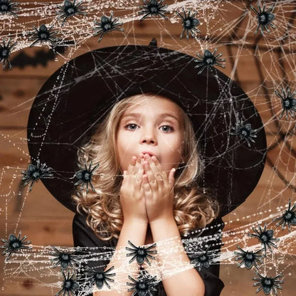 Schwarze Mini Spinnen 🕷️