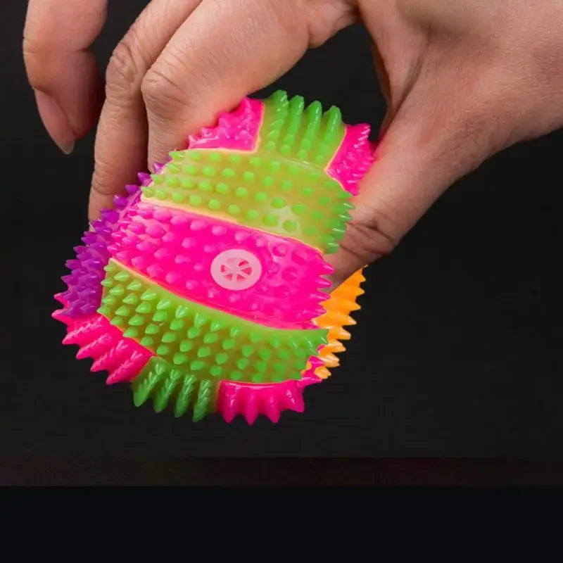 Spielzeugball für deinen Vierbeiner