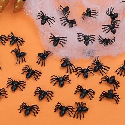 Schwarze Mini Spinnen 🕷️