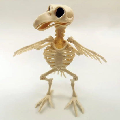 Halloween Skelett Rabe