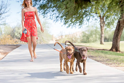 Zwei Hunde, eine Lösung – Die clevere Doppelleine mit 360° Drehung