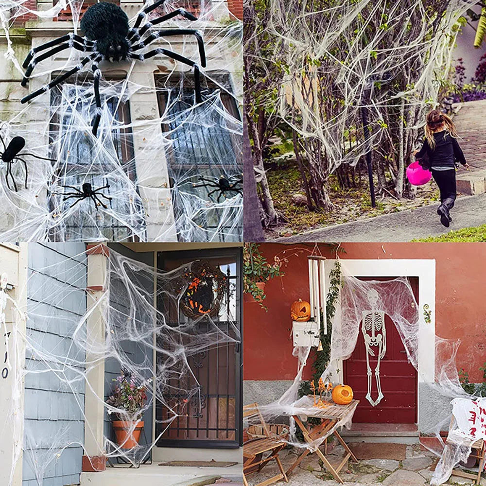Halloween-Dekoration Spinnennetz