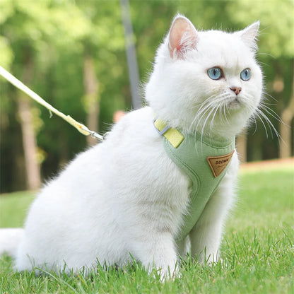 Outdoor-Geschirr für Katzen